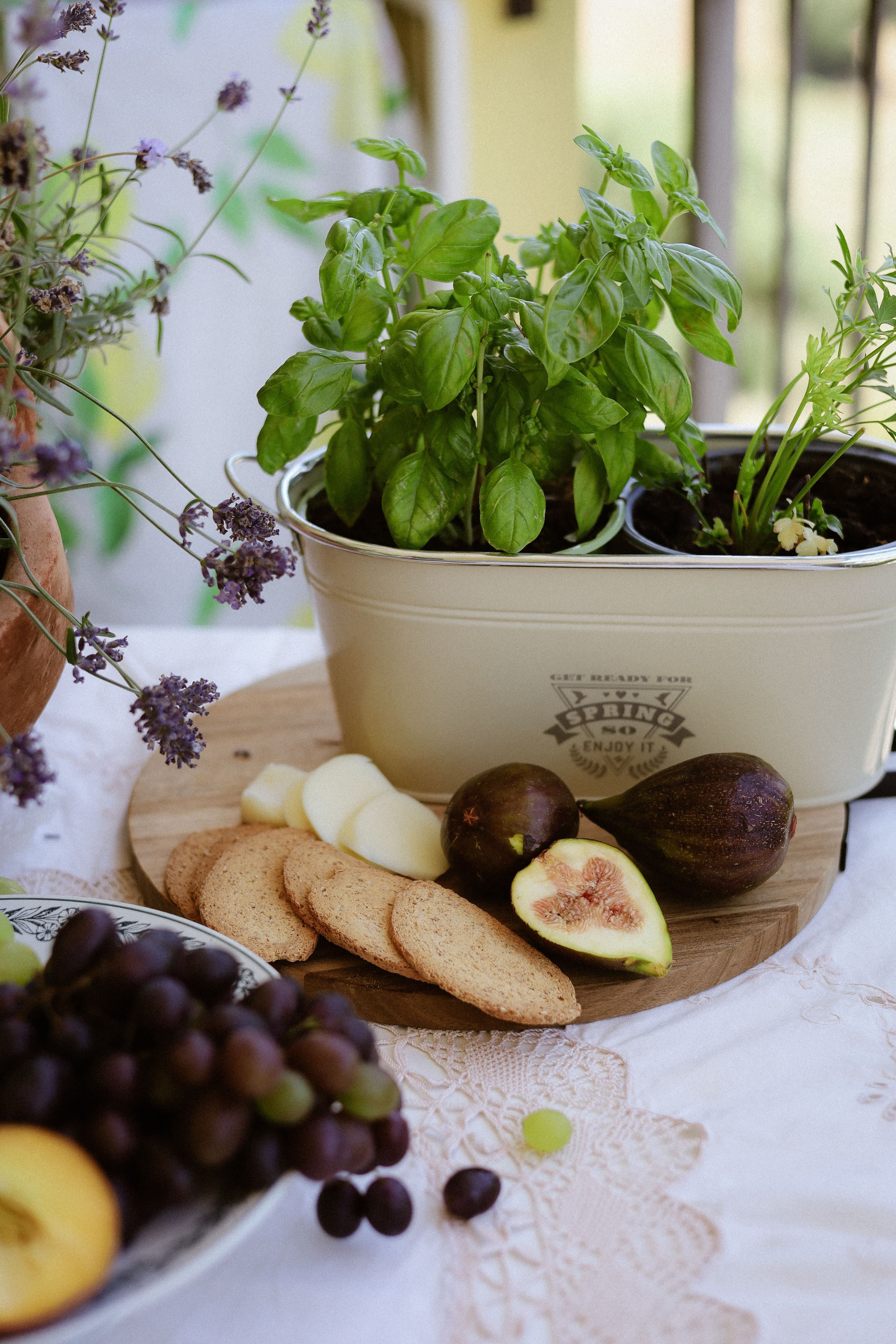 A pot of basil in terracotta on a laid table