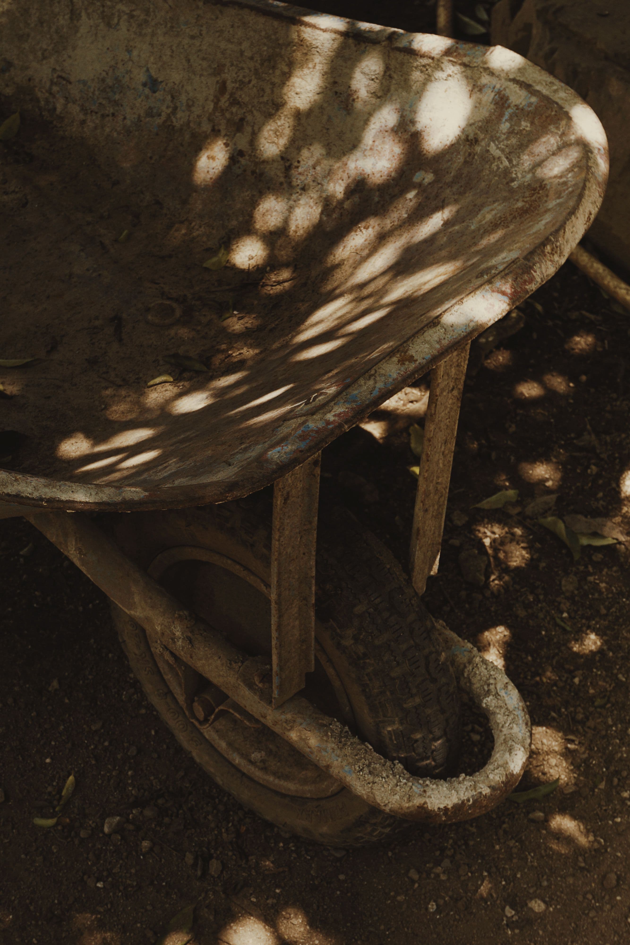 Hands using a garden tool during ordinary pruning or planting work